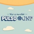 pulso gnp